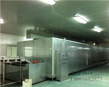 速凍隧道 速凍隧道